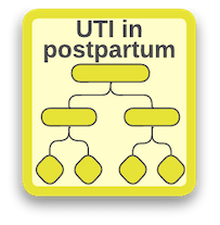 UTI in postpartum
