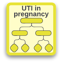 UTI in Pregnancy